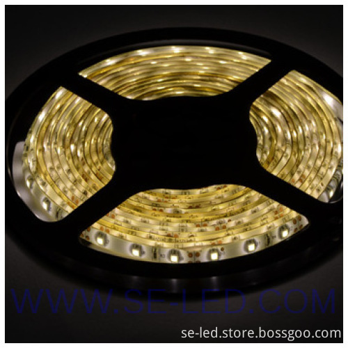 IP65 Waterproof Strip Led 5050 SMD